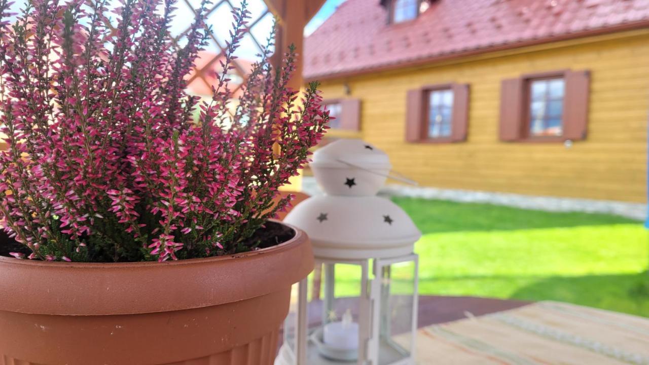 Holidayhouse Chalupa Alzbetka Važec 外观 照片